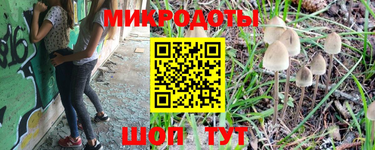 Псилоцибиновые грибы Cubensis Зеленодольск